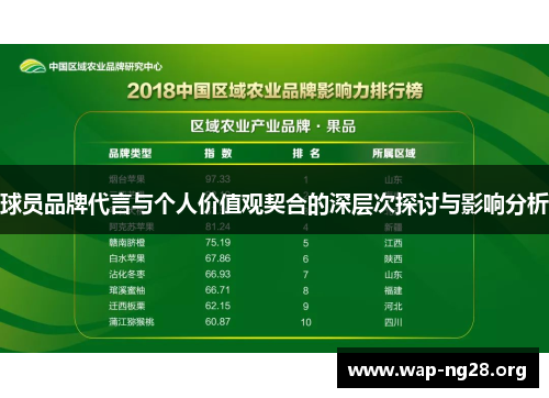 球员品牌代言与个人价值观契合的深层次探讨与影响分析