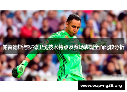 帕雷德斯与罗德里戈技术特点及赛场表现全面比较分析