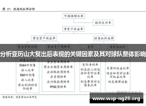 分析亚历山大复出后表现的关键因素及其对球队整体影响 分析亚历山大复出后表现的关键因素及其对球队整体影响