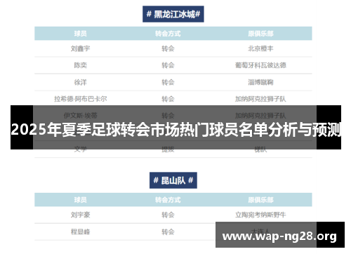 2025年夏季足球转会市场热门球员名单分析与预测