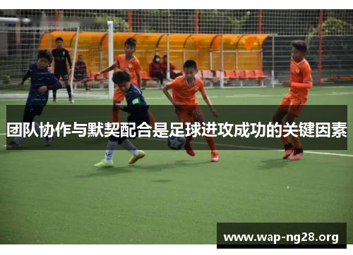 团队协作与默契配合是足球进攻成功的关键因素