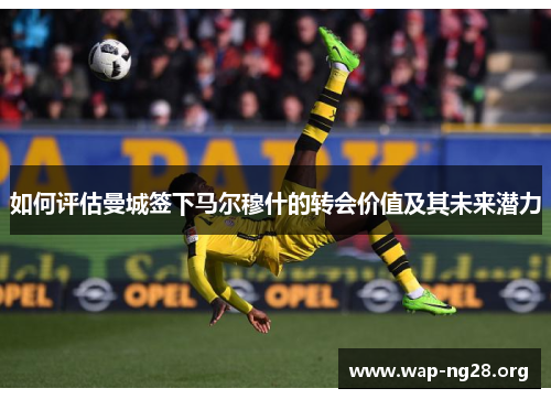 如何评估曼城签下马尔穆什的转会价值及其未来潜力 如何评估曼城签下马尔穆什的转会价值及其未来潜力