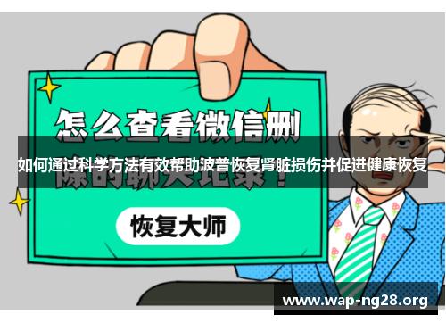 如何通过科学方法有效帮助波普恢复肾脏损伤并促进健康恢复