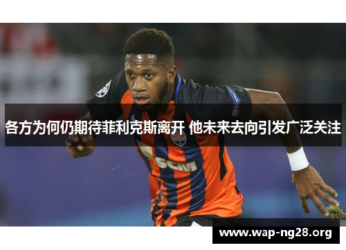 各方为何仍期待菲利克斯离开 他未来去向引发广泛关注 各方为何仍期待菲利克斯离开 他未来去向引发广泛关注