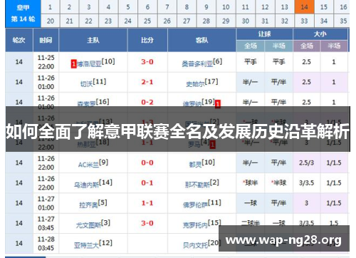 如何全面了解意甲联赛全名及发展历史沿革解析 如何全面了解意甲联赛全名及发展历史沿革解析