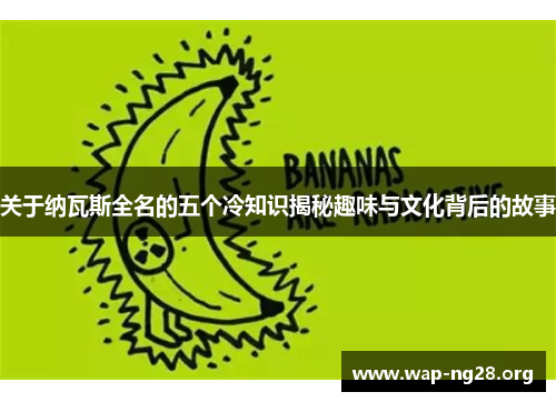 关于纳瓦斯全名的五个冷知识揭秘趣味与文化背后的故事