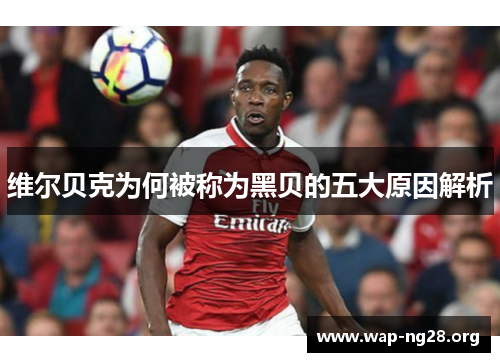 维尔贝克为何被称为黑贝的五大原因解析